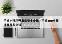 手机小程序开发需要多少钱（手机app小程序开发多少钱）