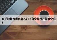 自学软件开发怎么入门（自学软件开发好学吗）